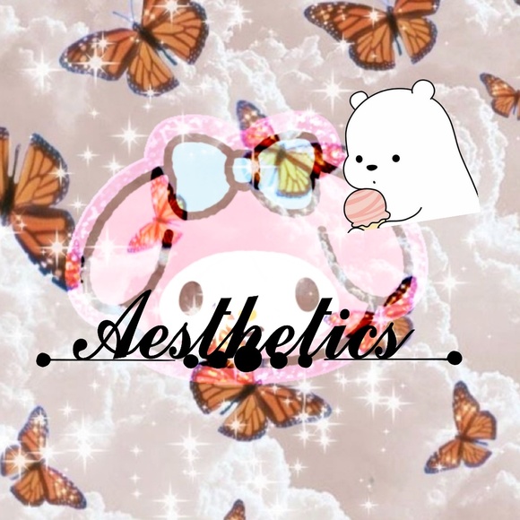 aesthetics311
